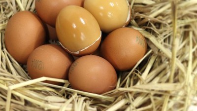 🥚 촉촉 훈제구운계란 30구🥚 쟁여두고 맘껏 먹자! (할인정보)
